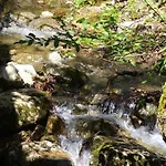 Berg Und Bach - Lakes 5min, Salzburg 20min Апартаменты Wald (Salzburg)
