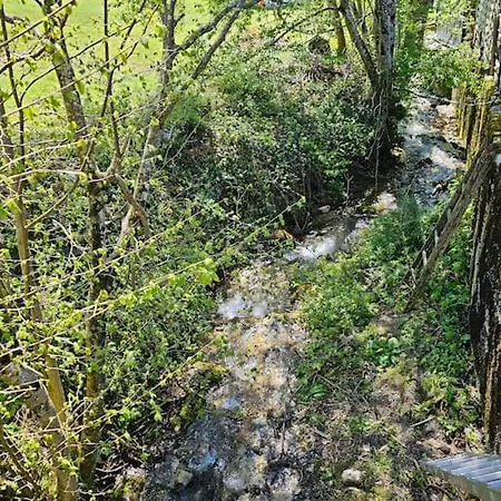 Berg Und Bach - Lakes 5min, Salzburg 20min Lägenhet *