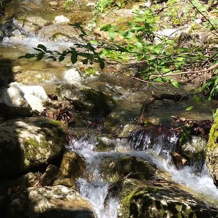 Berg Und Bach - Lakes 5min, Salzburg 20min Apartamento Wald (Salzburg)