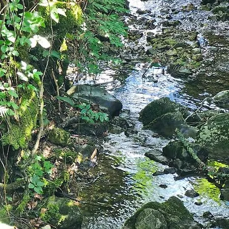 Berg Und Bach - Lakes 5min, Salzburg 20min * Wald (Salzburg)