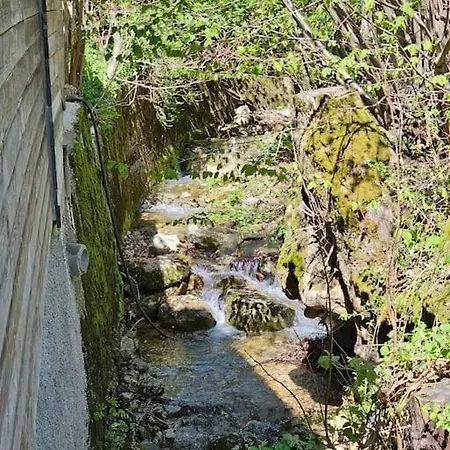 Berg Und Bach - Lakes 5min, Salzburg 20min Wald (Salzburg)