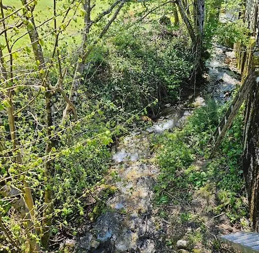 Berg Und Bach - Lakes 5min, Salzburg 20min Lägenhet *