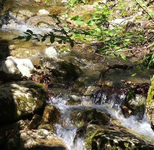 Berg Und Bach - Lakes 5min, Salzburg 20min Lägenhet Wald (Salzburg)