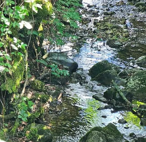 Berg Und Bach - Lakes 5min, Salzburg 20min * Wald (Salzburg)