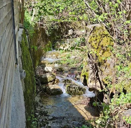 Berg Und Bach - Lakes 5min, Salzburg 20min Wald (Salzburg)